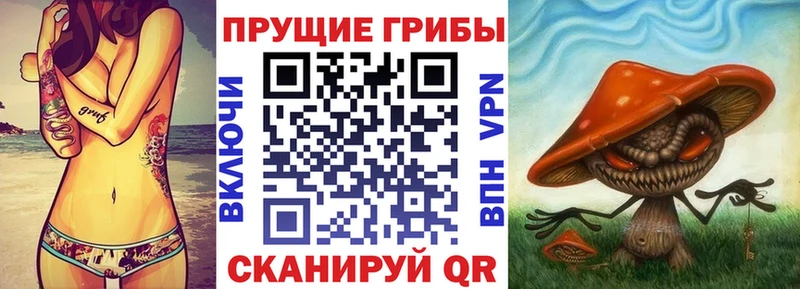 Галлюциногенные грибы Psilocybine cubensis Кумертау